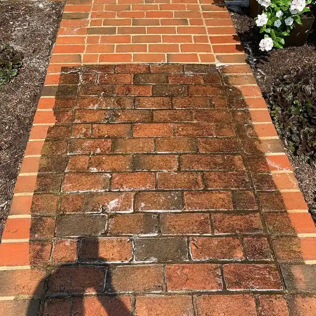 Brick walkway half washed, clean orange brick on one side, dark moldy brick on the other